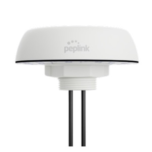 Peplink ANT-MB-02 2-in-1 Combo Antenna with MIMO WiFi. 6' cables, SMA (M) connectors